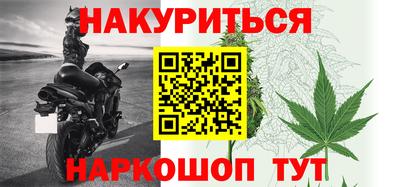 Альфа ПВП Малгобек