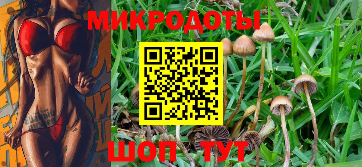 Псилоцибиновые грибы MAGIC MUSHROOMS Холмск
