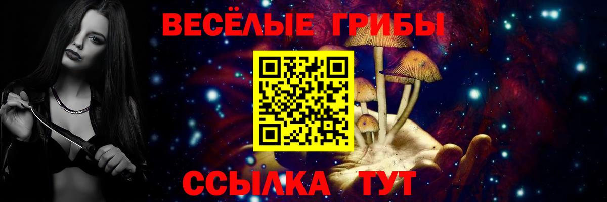 Холмск  Галлюциногенные грибы Cubensis  как найти   Вход с VPN 